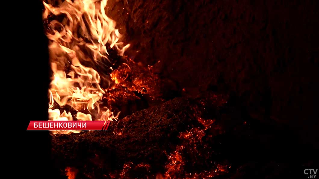 Выгодно и рационально – Беларусь все активнее переходит на местные виды топлива-2