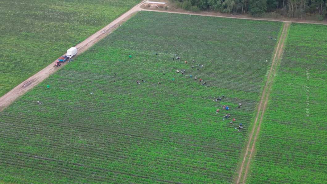 БПЛА помог раскрыть преступную схему – налоговая Беларуси использует дроны для выявления нарушений-6 БПЛА помог раскрыть преступную схему – налоговая Беларуси использует дроны для выявления нарушений-6