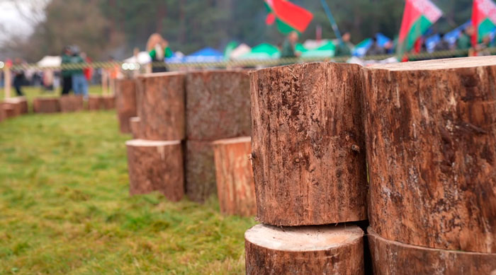 Под Минском стартовал IV чемпионат Беларуси по колке дров среди СМИ Под Минском стартовал IV чемпионат Беларуси по колке дров среди СМИ