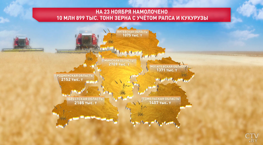 Белорусские аграрии намолотили почти 10,9 млн тонн зерна вместе с рапсом и кукурузой-2