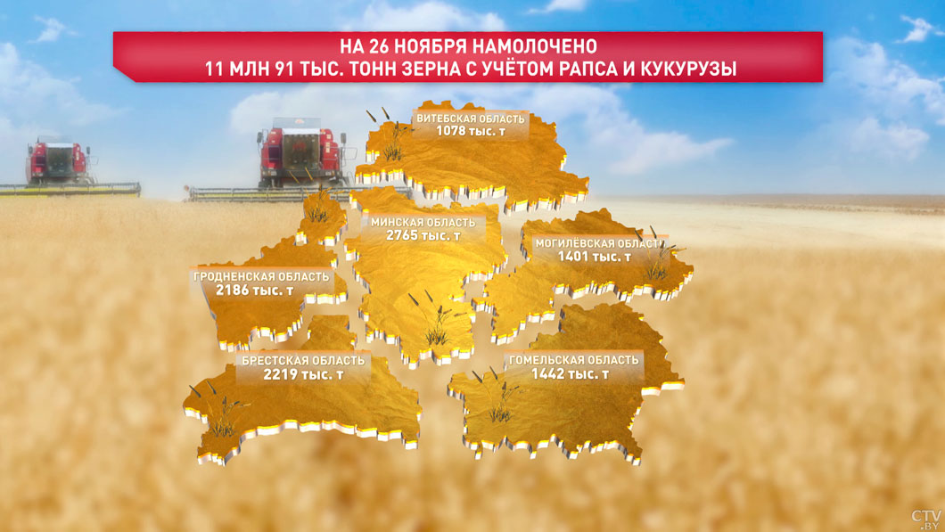 В Беларуси собрали более 11 млн тонн зерна вместе с рапсом и кукурузой-2