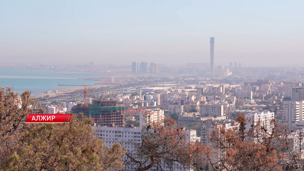 Перспективы очень серьёзные! Рыженков о сотрудничестве Беларуси и Алжира-6