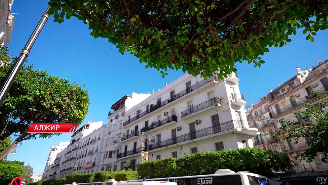 Перспективы очень серьёзные! Рыженков о сотрудничестве Беларуси и Алжира-2