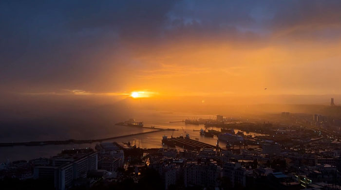 «Амкодор» подпишет дорожную карту с государственными предприятиями Алжира