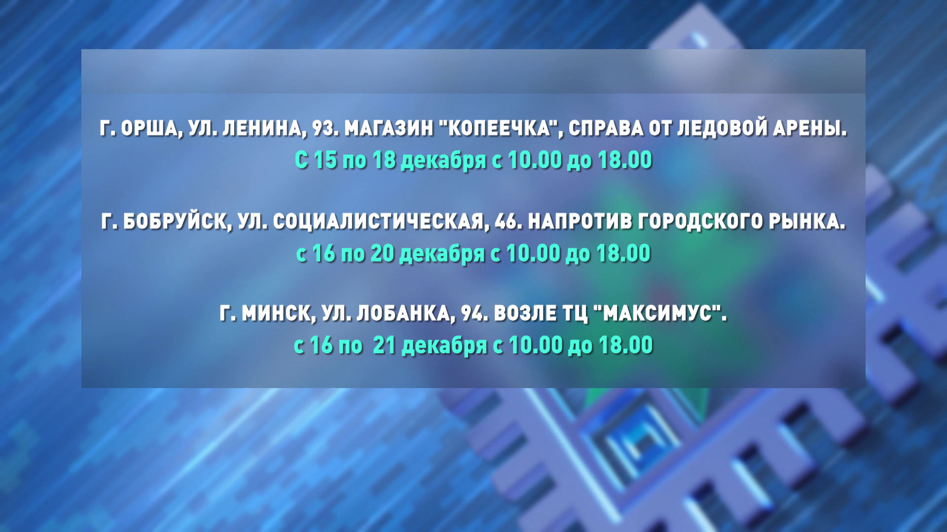 Палитра вкуса к новогоднему столу! Ярмарки рыбы и деликатесов открылись в Орше, Бобруйске и Минске-6