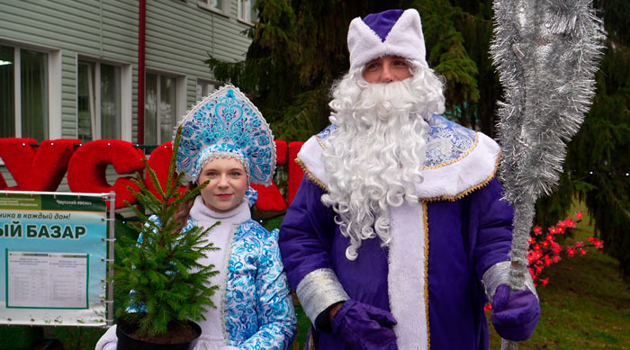 Лесхозы Беларуси около тысячи елей и сосен подарят социальным учреждениям