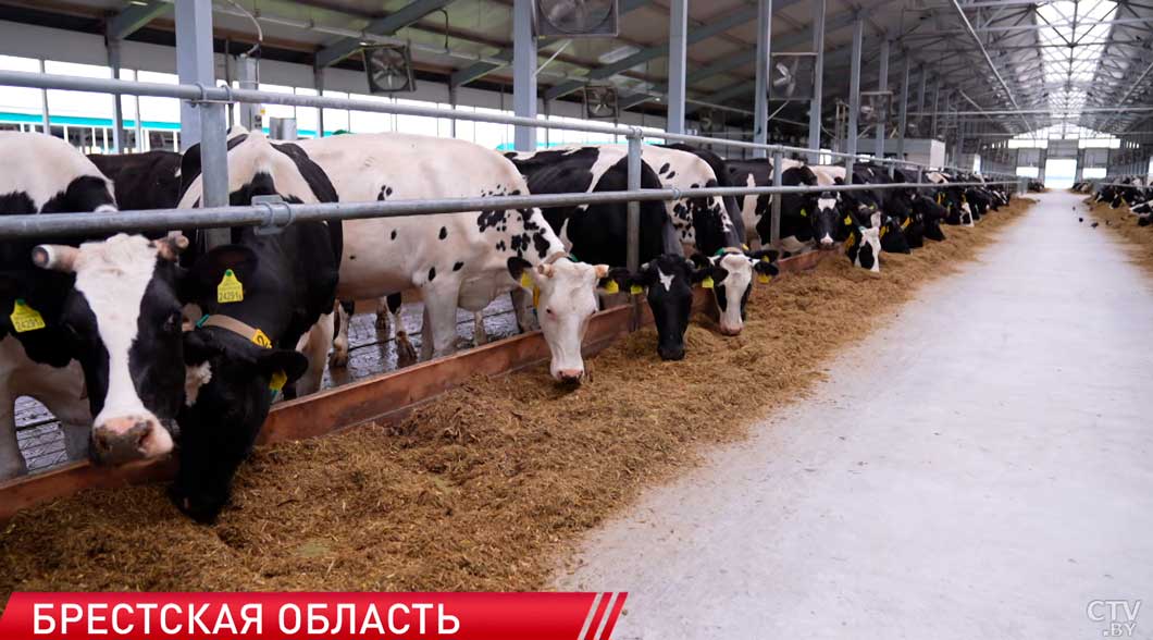 Общий объём инвестиций в здравоохранение превысит 7 млрд рублей в пятилетке-8