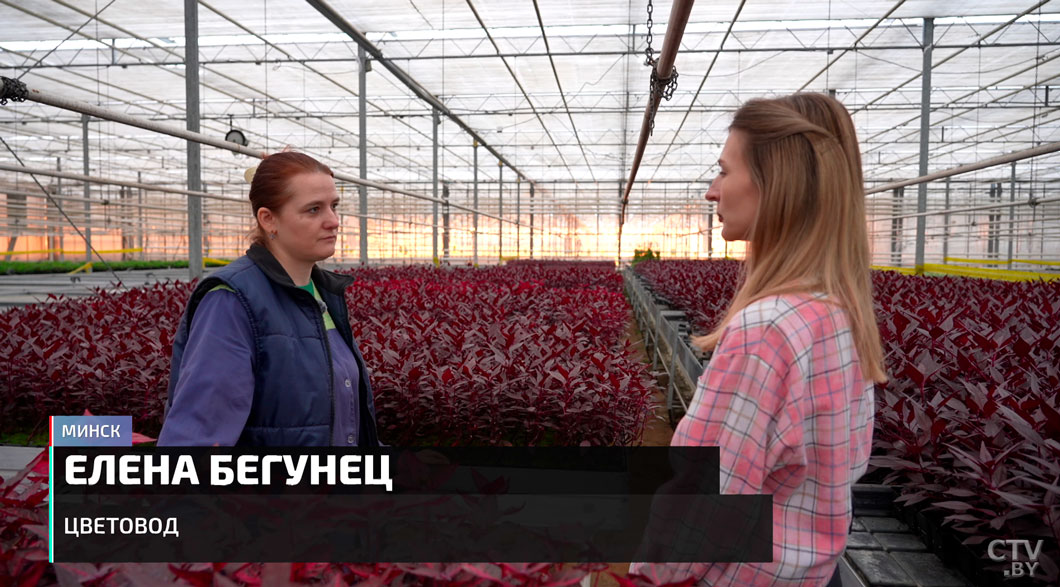 От исторических объектов до дворов! Как Год благоустройства преобразил Беларусь-4