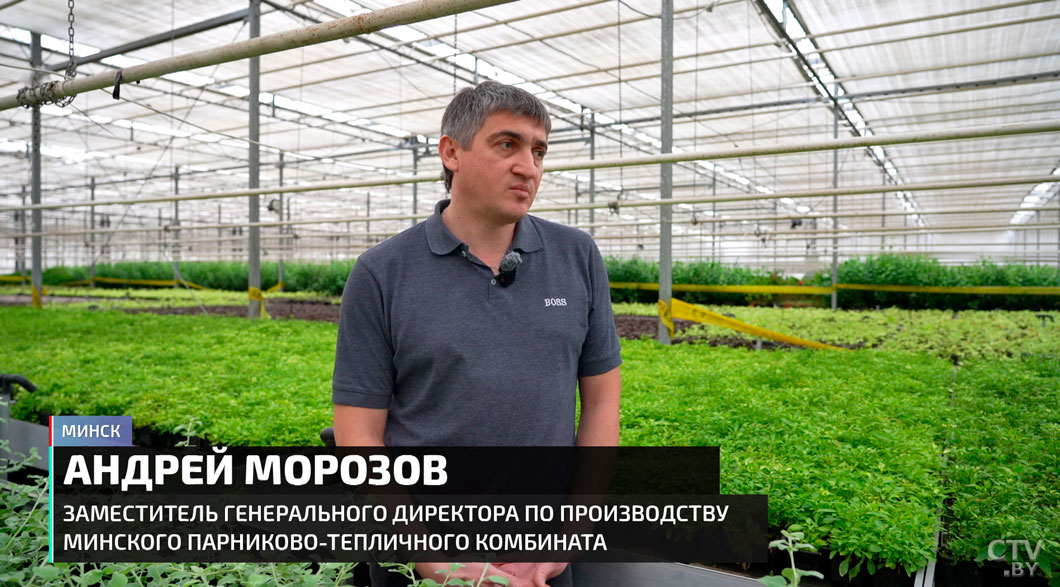 От исторических объектов до дворов! Как Год благоустройства преобразил Беларусь-6