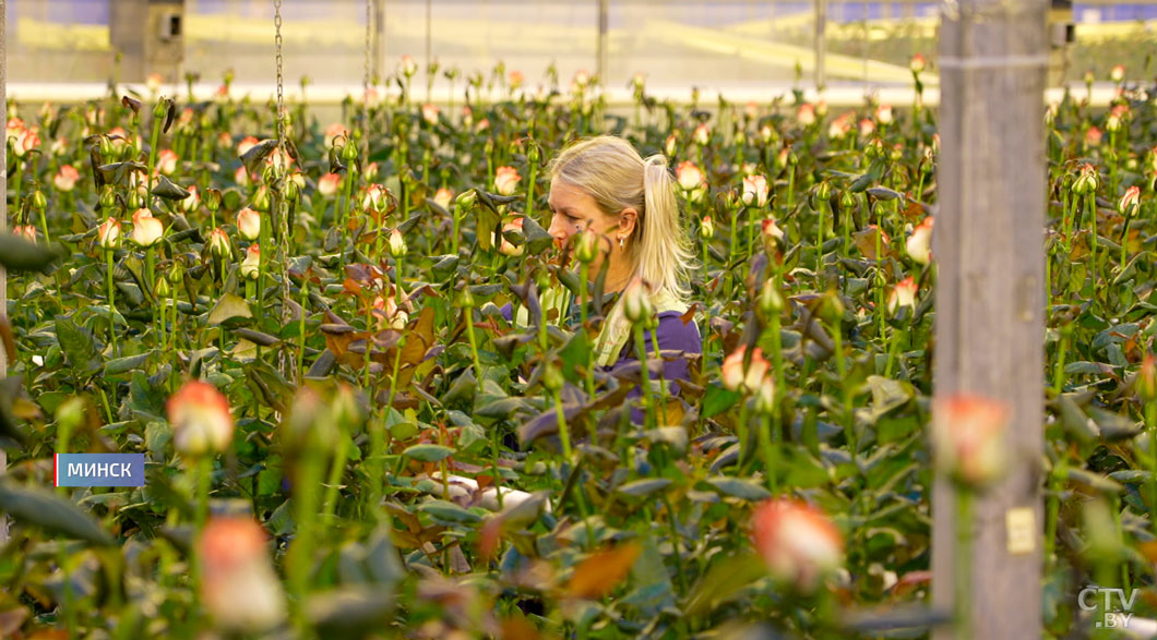 От исторических объектов до дворов! Как Год благоустройства преобразил Беларусь-8
