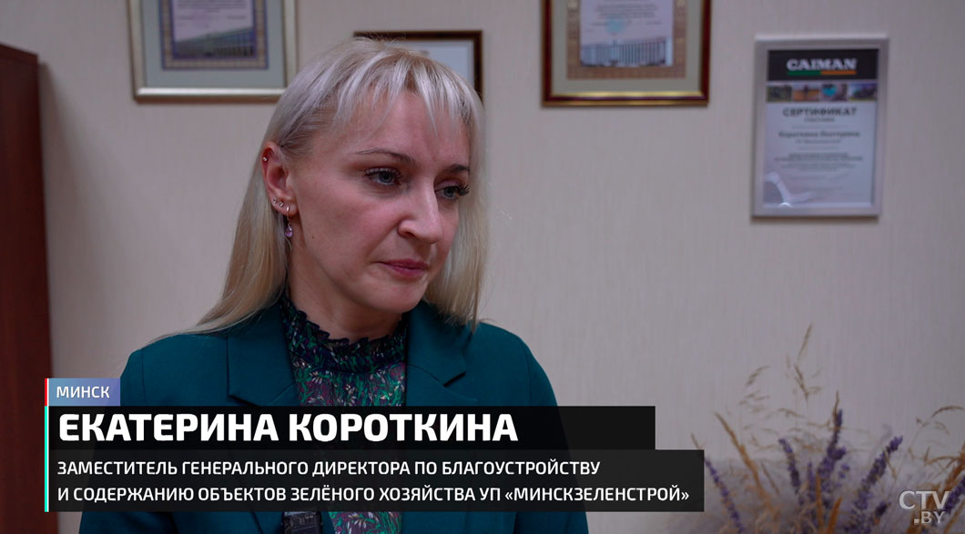 От исторических объектов до дворов! Как Год благоустройства преобразил Беларусь-12