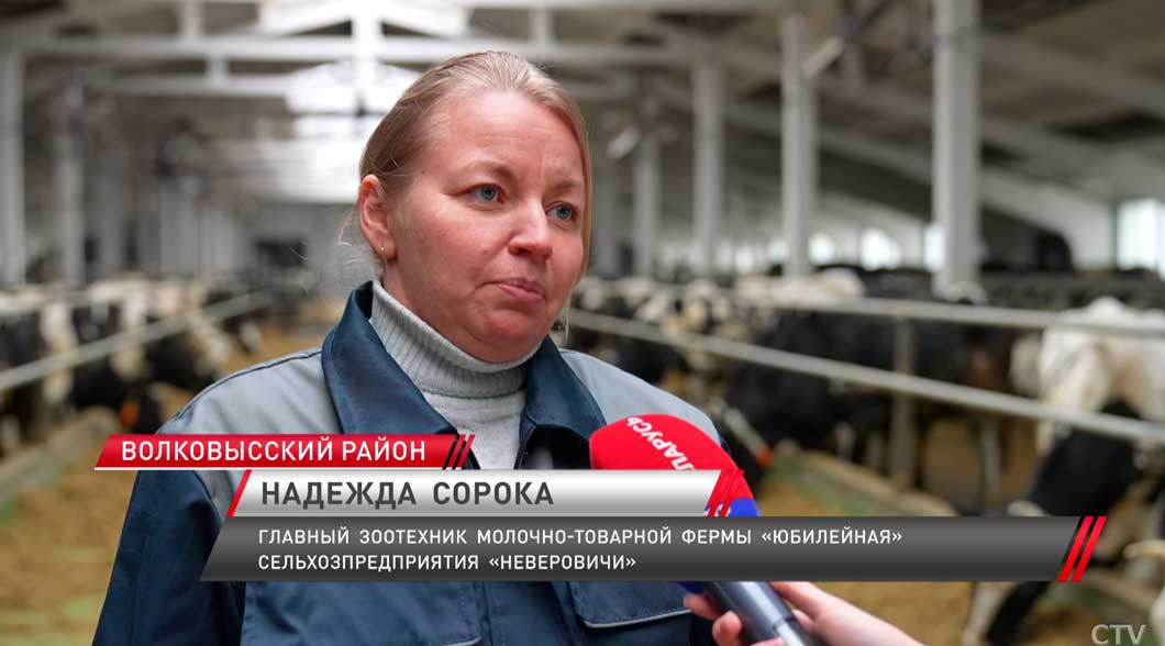 Около 12 тонн молока в сутки – в Волковысском районе открыли новую ферму-6