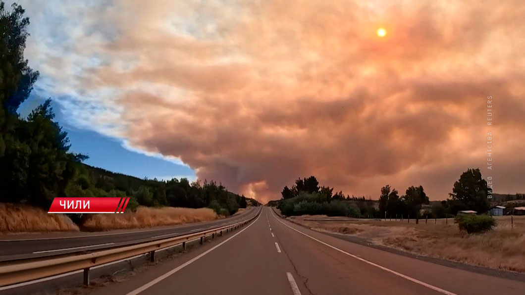Около 20 человек погибли при масштабных лесных пожарах в Чили-2 Около 20 человек погибли при масштабных лесных пожарах в Чили-2