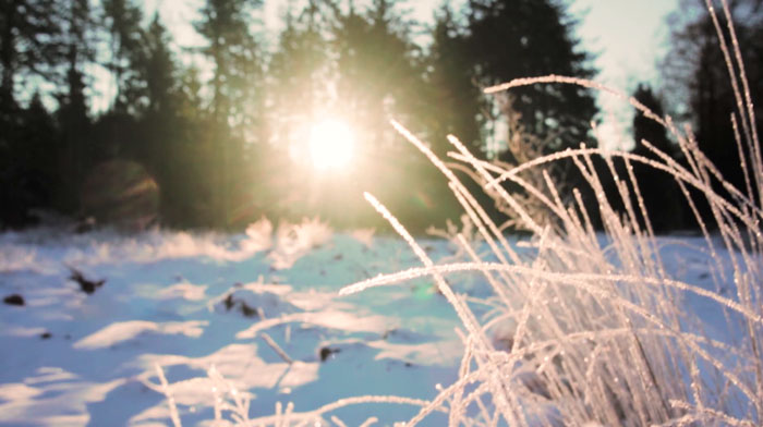 До -33 градусов! На смену оттепели в Беларусь снова идут сильные морозы