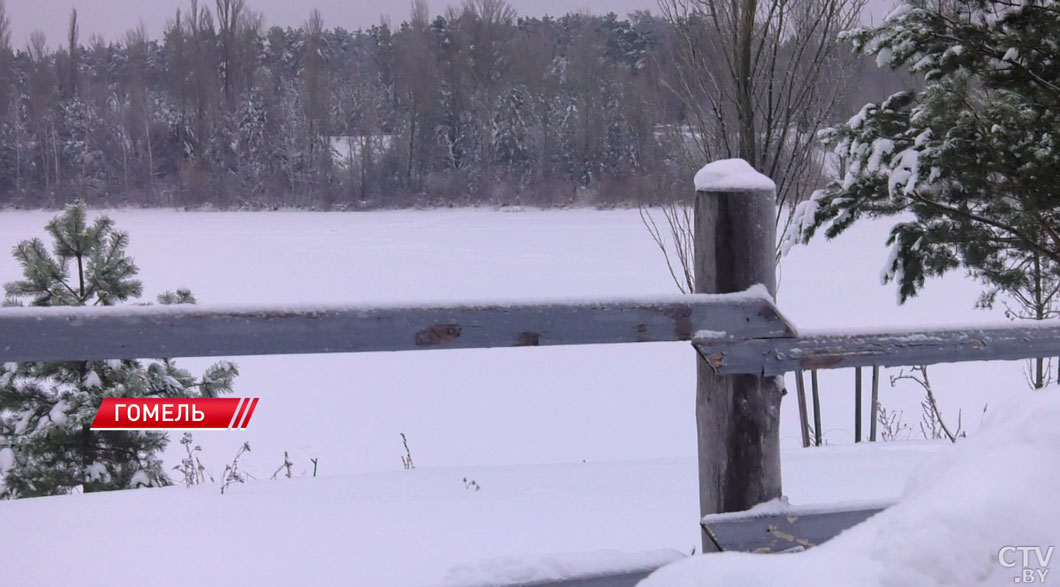 В Гомельской области проходит экологическая акция по спасению рыбы от замора-2