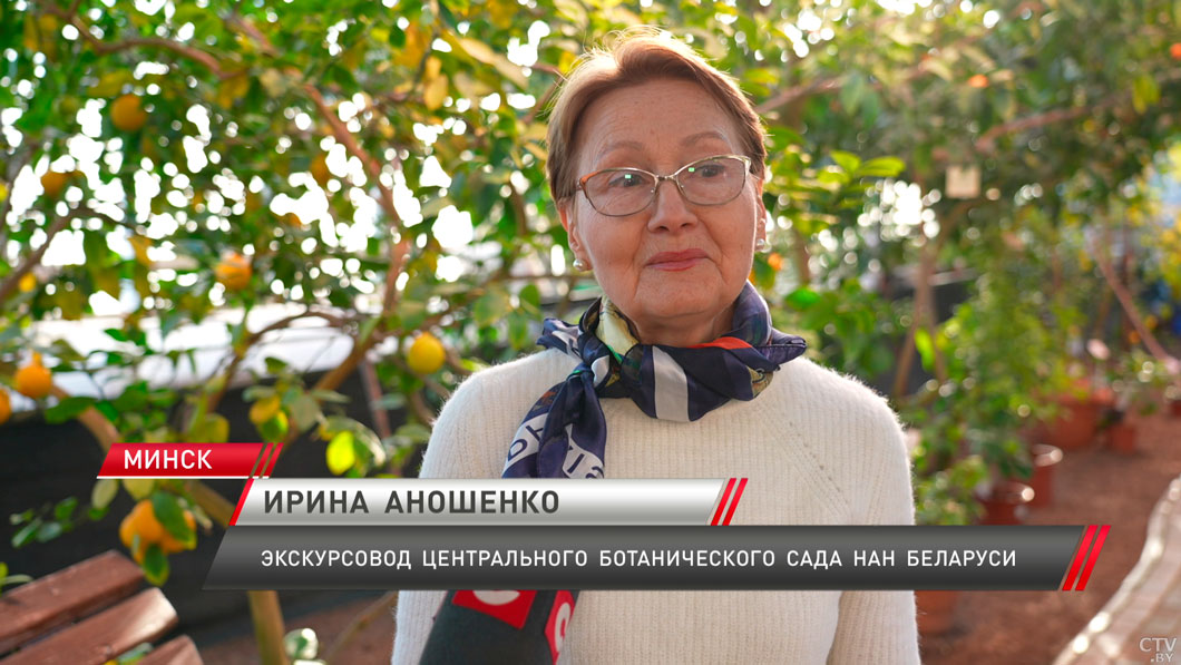 В Центральном ботаническом саду завершился сезон работы лимонария-6