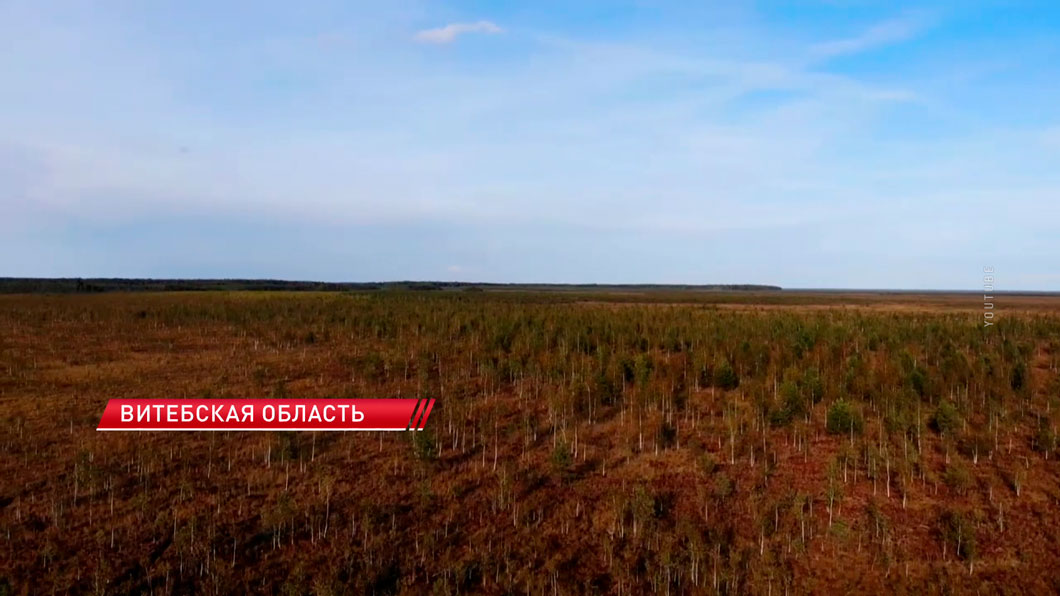 В Беларуси растёт интерес к экологическим экскурсиям по болотам – Минприроды-2