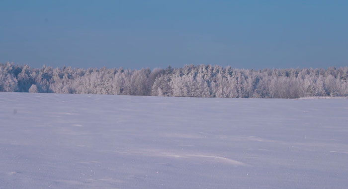 По всей Беларуси 3 февраля объявлен оранжевый уровень опасности