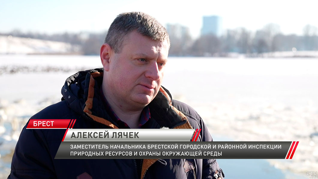 Особая миссия! В Бресте спасатели помогают зимующим птицам-8 Особая миссия! В Бресте спасатели помогают зимующим птицам-8
