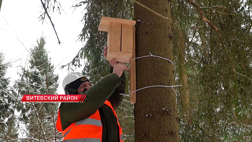В Витебском лесхозе приступили к изготовлению 300 новых скворечников-2