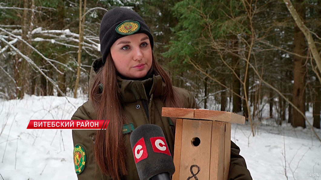 В Витебском лесхозе приступили к изготовлению 300 новых скворечников-4