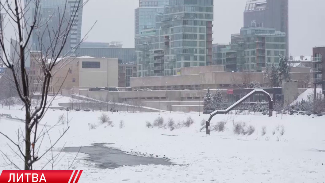 В Сейме Литвы предложили не выплачивать пособия для привлечения работников из Беларуси и России-2