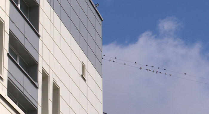 СК и Минздрав разбираются в гибели роженицы и ребенка в Дзержинской ЦРБ