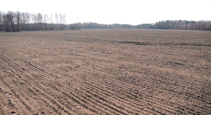 В Брестской области приступили к выборочному севу ранних яровых культур