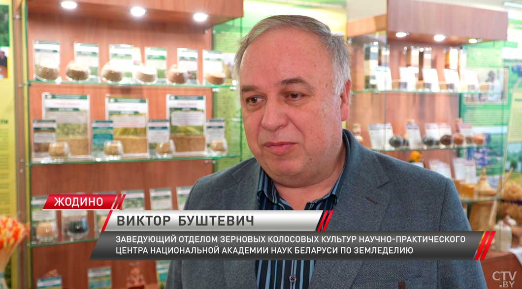 Озимые культуры успешно пережили зиму-4 Озимые культуры успешно пережили зиму-4