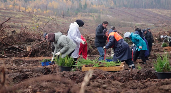 «Лес! Дабро! Парадак!» – Минлесхоз приглашает белорусов поучаствовать в наведении порядка в лесах
