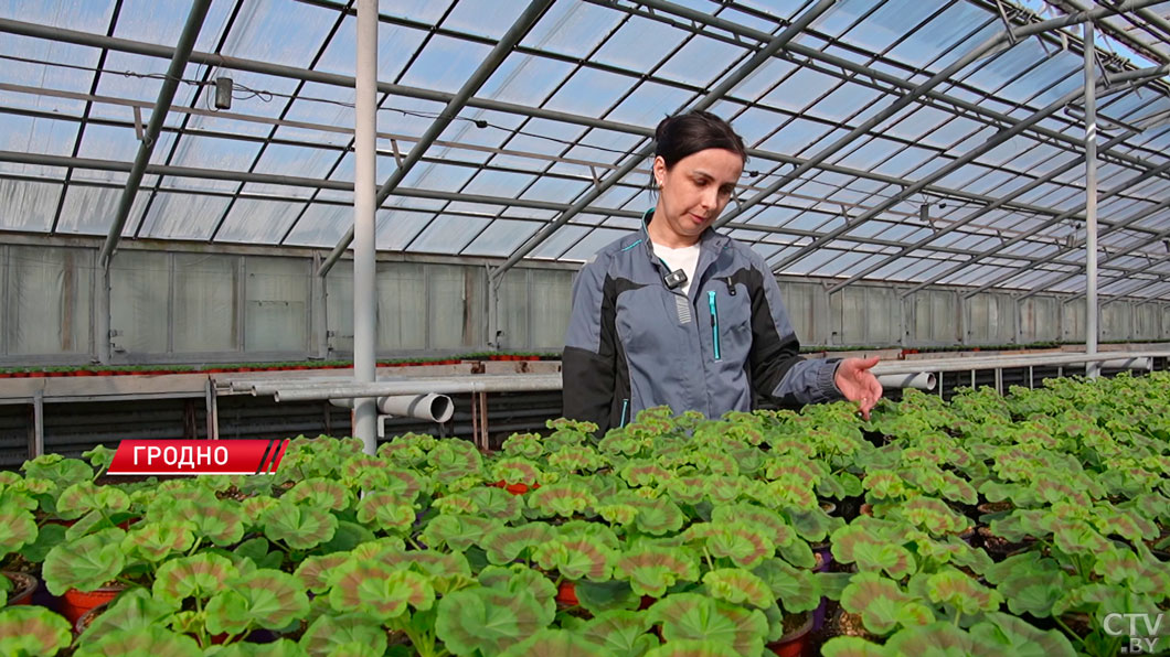 Город счастливых людей! Гродно признан лидером благоустройства по итогам 2025 года-6