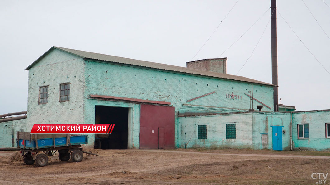 В тройке мировых лидеров! Белорусский лен поставляют во все уголки земного шара-8 В тройке мировых лидеров! Белорусский лен поставляют во все уголки земного шара-8