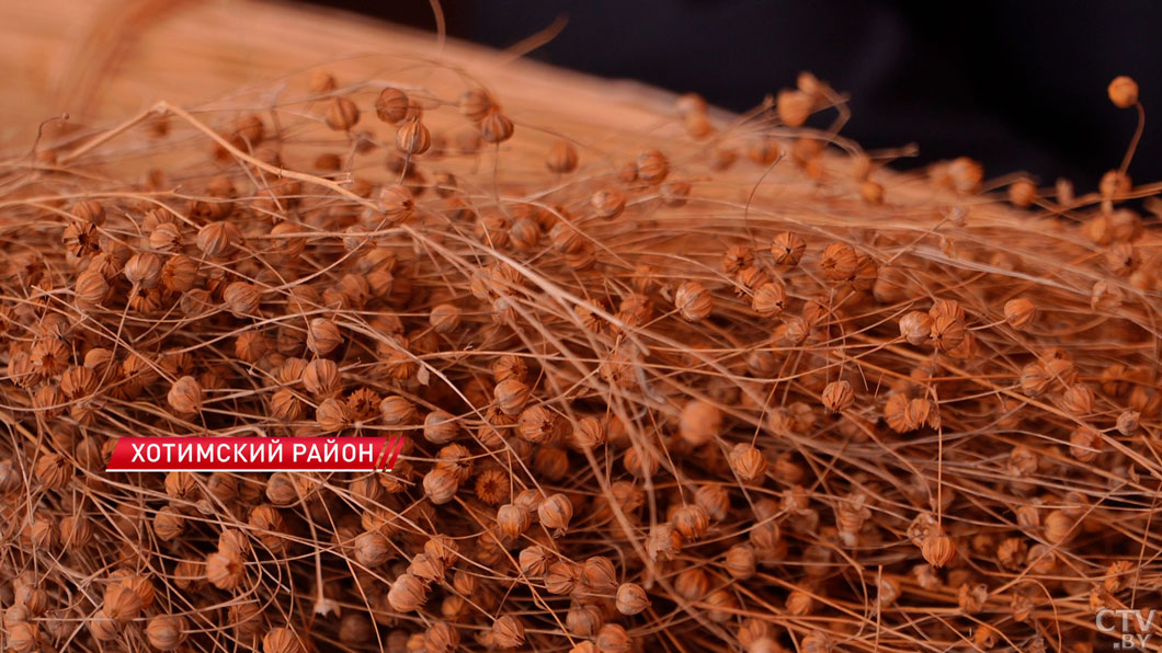 В тройке мировых лидеров! Белорусский лен поставляют во все уголки земного шара-2 В тройке мировых лидеров! Белорусский лен поставляют во все уголки земного шара-2