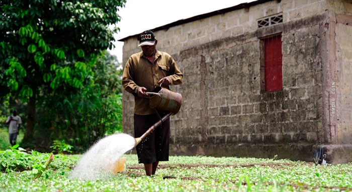Экстремальные погодные условия все сильнее влияют на продовольственную безопасность в Африке Экстремальные погодные условия все сильнее влияют на продовольственную безопасность в Африке
