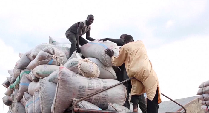 Африка тестирует единые таможенные гарантии для ускорения торговли