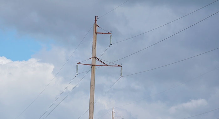 Оранжевый уровень опасности из-за ветра объявлен в Беларуси
