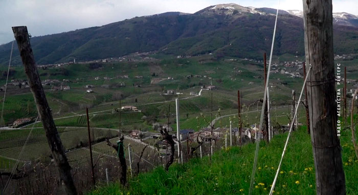 Ближневосточный кризис бьет по винной отрасли Италии