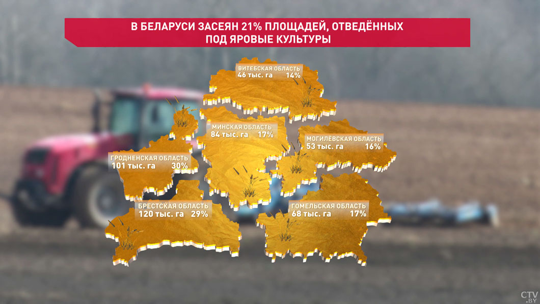 В Беларуси засеяно свыше 20% площадей яровых культур-2