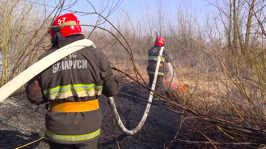 В Столинском районе 8 часов тушили лесной пожар-2
