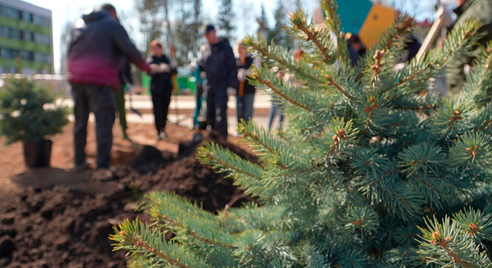 Более 320 тысяч жителей Минской области присоединились к республиканскому субботнику