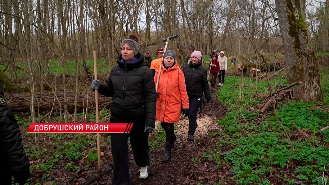 В Добрушском районе навели порядок у стен исторического имения Герардов-2
