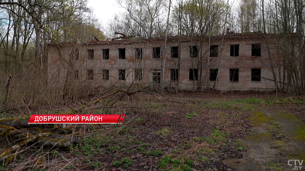 Объединилась вся страна! Какие задачи стояли у регионов? Детали республиканского субботника-10