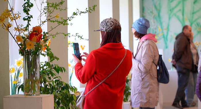 В Центральном ботаническом саду завершилась крупнейшая выставка нарциссов
