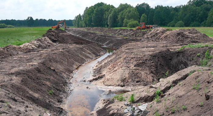 В Беларуси сделают упор на расчистку высокоплодородных земель