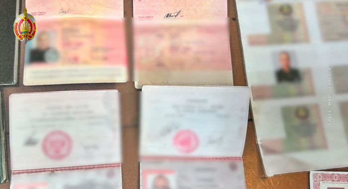 ГУБОПиК и коллеги из России ликвидировали международную преступную организацию