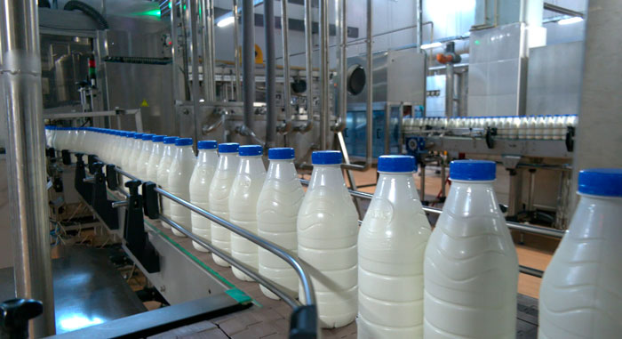 Белорусская молочная продукция экспортируется в 55 стран Белорусская молочная продукция экспортируется в 55 стран
