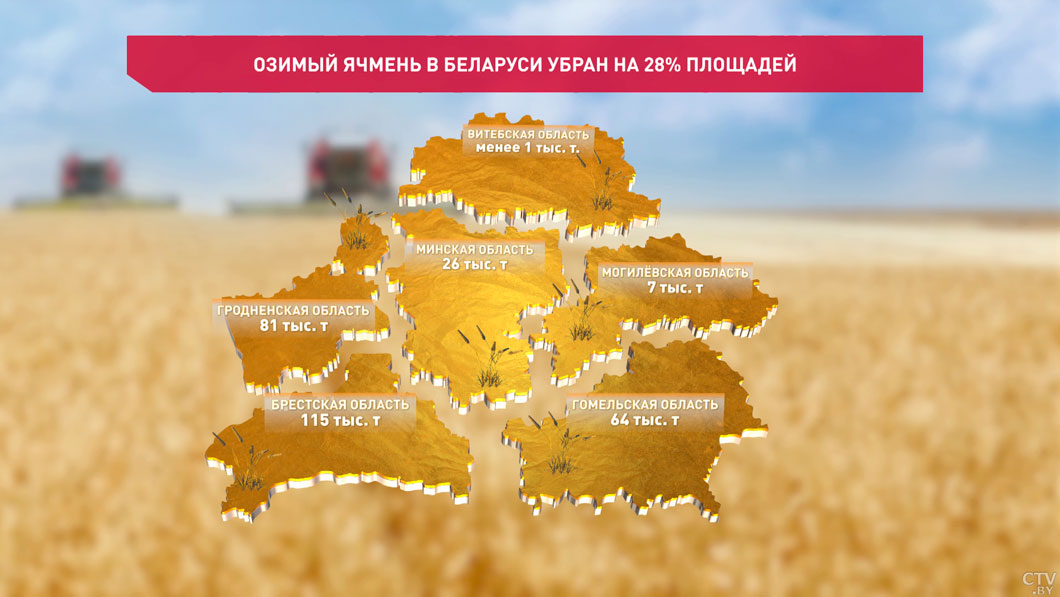 Аграрии Беларуси убрали 28% площадей озимого ячменя-2