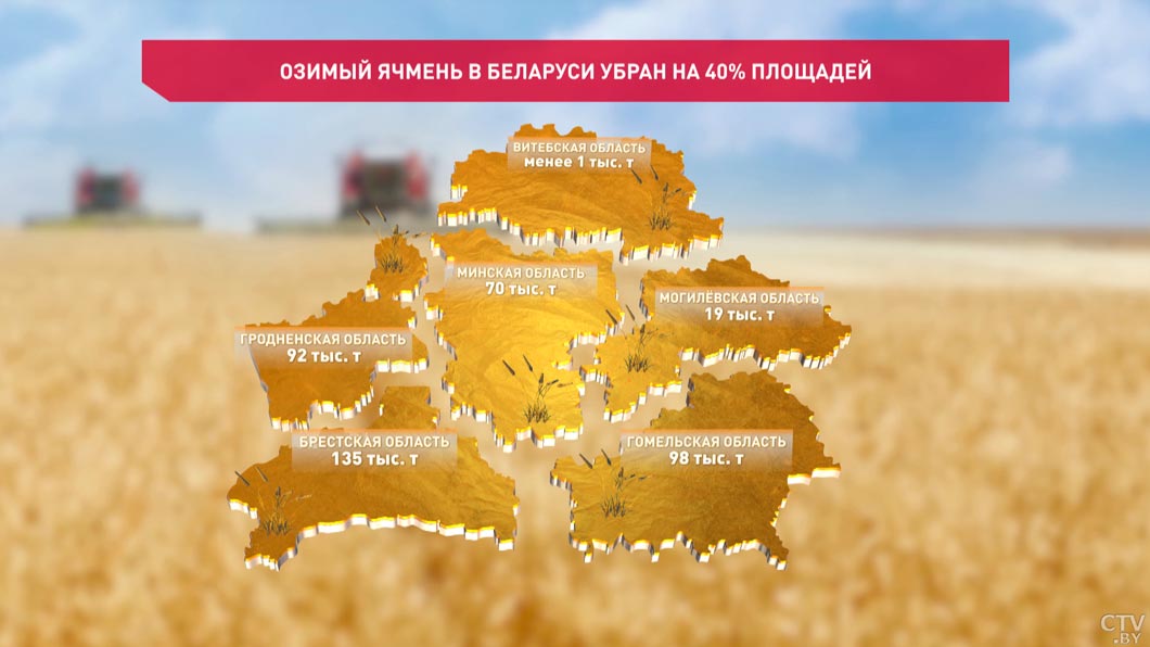 416 тыс. тонн озимого ячменя намолочено в Беларуси-2