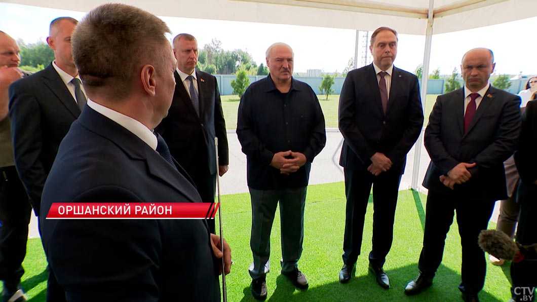 Лукашенко поручил выработать четкую программу по разведению красной породы коров в Беларуси-12