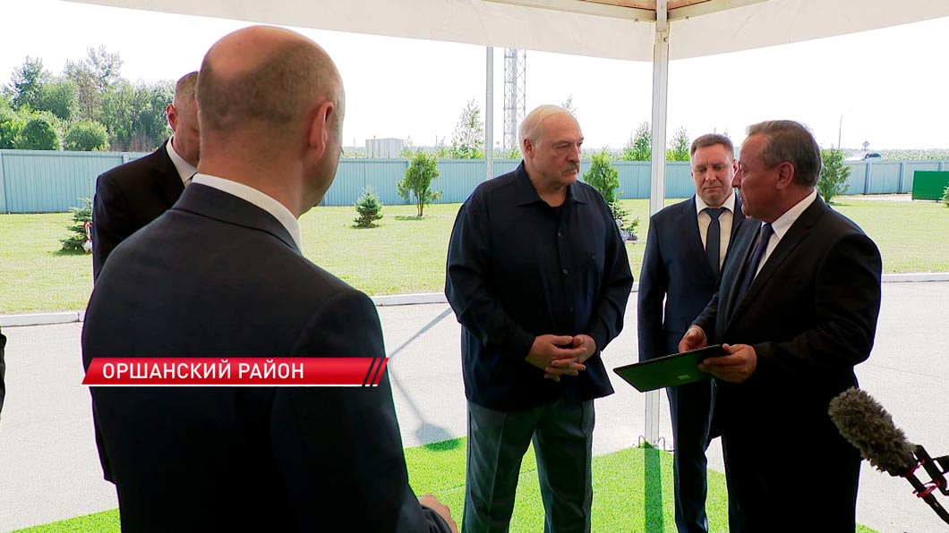 Лукашенко поручил выработать четкую программу по разведению красной породы коров в Беларуси-2